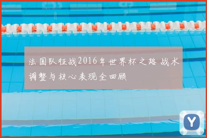 法国队征战2016年世界杯之路 战术调整与核心表现全回顾