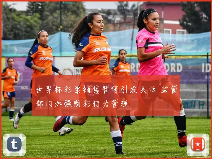 世界杯彩票销售暂停引发关注 监管部门加强购彩行为管理