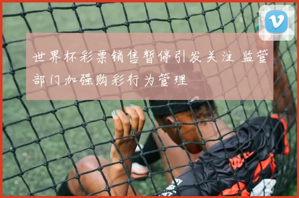 世界杯彩票销售暂停引发关注 监管部门加强购彩行为管理