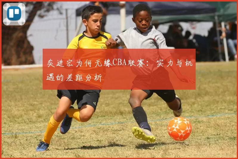 矣进宏为何无缘CBA联赛：实力与机遇的差距分析