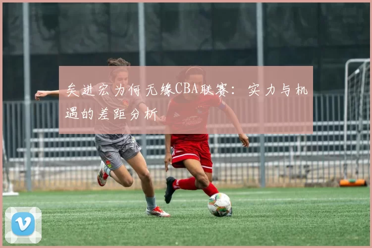 矣进宏为何无缘CBA联赛：实力与机遇的差距分析