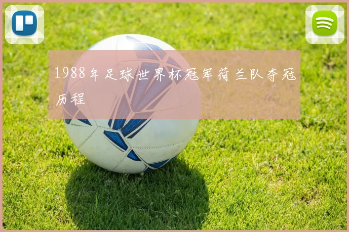 1988年足球世界杯冠军荷兰队夺冠历程