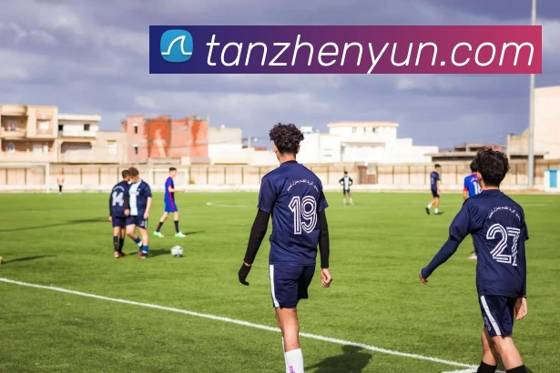 App Interface Preview