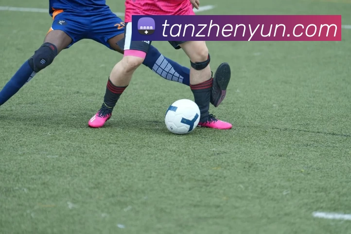 米兰在线登录入口网址APP 封面图